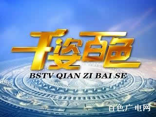 广西百色电视台，地方媒体的角色与影响力探究