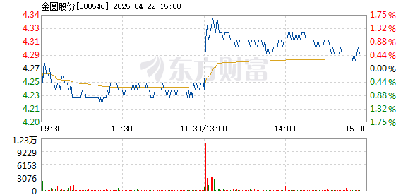 金圆股份股票，学习、变化、自信与成就的种子成长之路