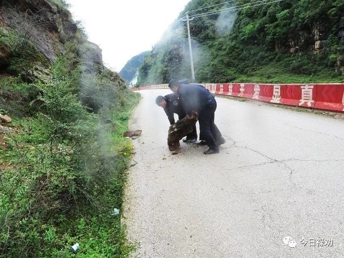 组织文化艺术交流活动 第4页